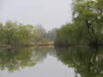 IMG_2061.jpeg