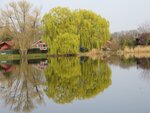 IMG_2042.jpeg