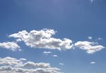 IMG_0141.jpg
