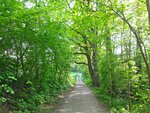 IMG_2918.jpg