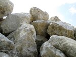 IMG_2901.jpg