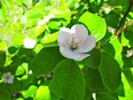 IMG_2956.jpg