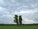 IMG_3108.jpg