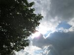 IMG_3130.jpg