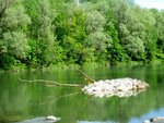 IMG_3139.jpg