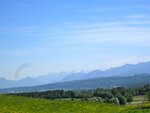 IMG_3151.jpg