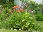 Garten8.jpg