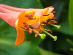 Garten5.JPG