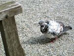 IMG_3183.jpg