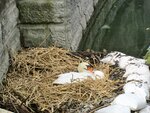 IMG_3207.jpg