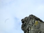 IMG_3212.jpg