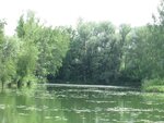 IMG_3360.jpg