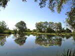 IMG_3374.jpg