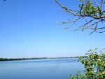 IMG_3381.jpg