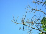 IMG_3383.jpg