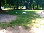 ImageUploadedBySymptome.ch1402670421.023168.jpg ImageUploadedBySymptome.ch1402670421.023168.jpg