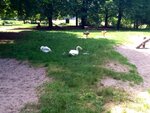 ImageUploadedBySymptome.ch1402670479.213646.jpg ImageUploadedBySymptome.ch1402670479.213646.jpg