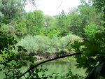 IMG_3400.jpg