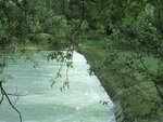 IMG_3402.jpg