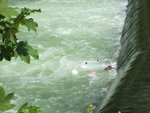 IMG_3404.jpg