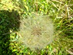 IMG_3435.jpg