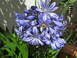 IMG_3514.jpg