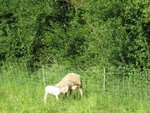 IMG_3552.jpg