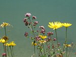 IMG_3592.jpg