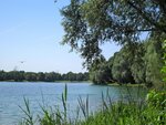 IMG_3586.jpg