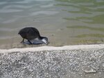 20142610.jpg
