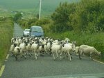 Irland13.jpg
