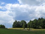 IMG_3640.jpg