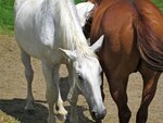 IMG_3630.jpg