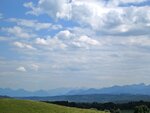 IMG_3626.jpg