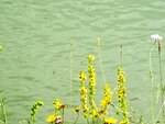 IMG_3707.jpg