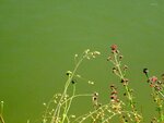 IMG_3706.jpg