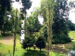 ImageUploadedBySymptome.ch1405236347.866830.jpg