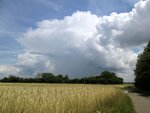 IMG_3788.jpg