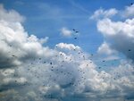 IMG_3776.jpg