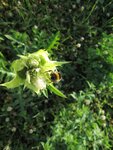 IMG_3847.jpg