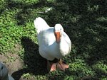IMG_3888.jpg