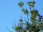 IMG_3914.jpg
