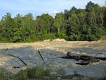 IMG_4187.jpg