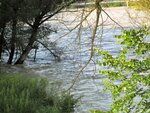 IMG_4182.jpg
