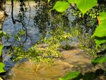 IMG_4185.jpg