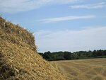 IMG_4314.jpg