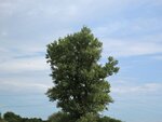 IMG_4318.jpg