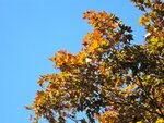 IMG_4367.jpg