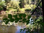 ImageUploadedBySymptome.ch1408349569.791881.jpg