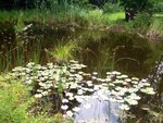 ImageUploadedBySymptome.ch1408349719.533364.jpg